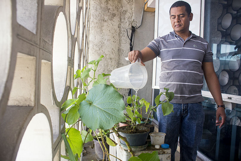 Leer y sembrar: soberanía alimentaría y cultural en el CENAL