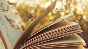 Ganadores Becas de Estímulo a la Creación Literaria 2019