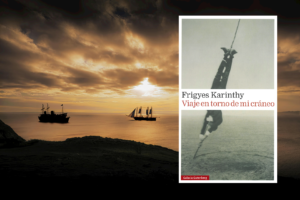 La novela en torno a la vida